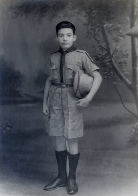 VDM-scout